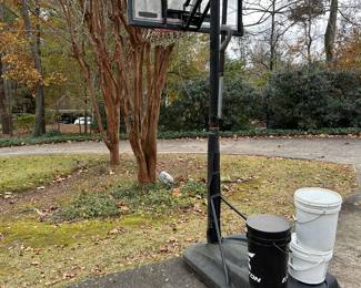 Lifetime Basketball Hoop 
