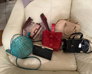 Brahmin designed purses 