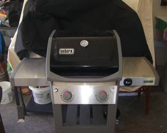 Weber Propane Grill
