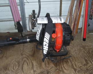 Echo Commercial Backpack Blower