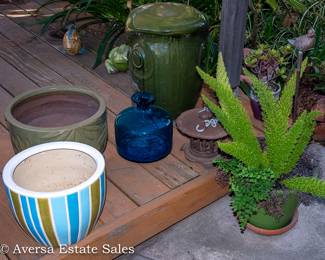 Flower Pots and Plants