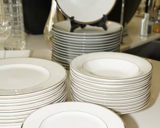 Mikasa Ultima+ HK301 Cameo Platinum Plates-49 Pieces