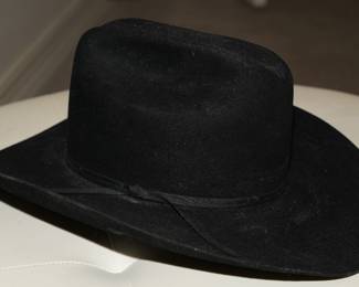 Stallion by Stetson beaver hat