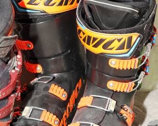 Tecnica ski boots