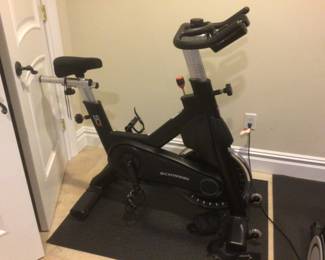 Schwinn stationary bike