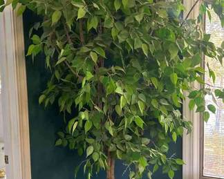 "Steinway Grand Piano & More" in McCormick, SC. Starts Closing on 11/26 at 8p. Pickup 11/28 3-6pm. Please click here to view more photos, descriptions, and current bids:&nbsp;https://ctbids.com/estate-sale/25293