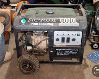 Sycamore 6000L professional generator