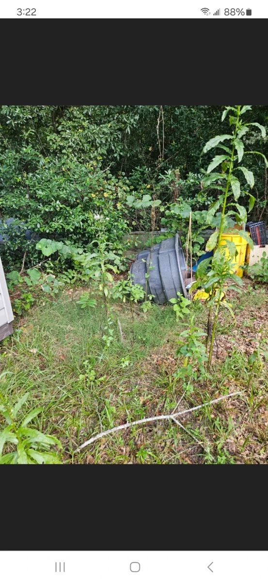 Mike Lynnell & Son estate sale mcbean ga Sunday! starts on 11/26/2023