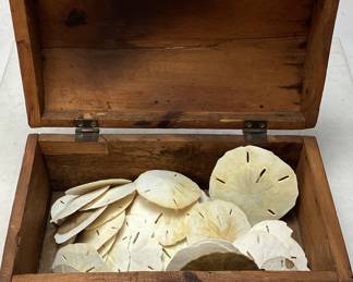 WOOD BOX OF SAND DOLLARS