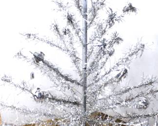  OrYq6SvMsfnGLd R0UDX0bI