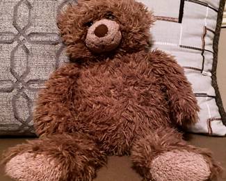 Experienced Teddy Bear