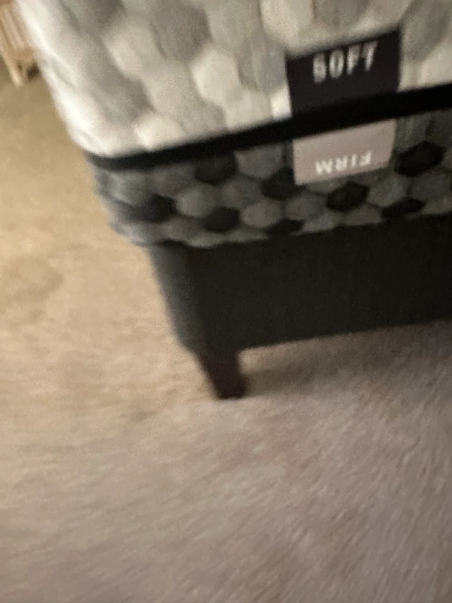 Full House in Tara on Saturday! in Bradenton, FL starts on 11/25/2023