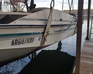 Tracker party deck 21.  