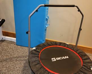 BCAN trampoline