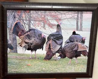 Framed David Woessner Photography, Wild Turkeys 

Professionally framed and measures 23" x 19" 