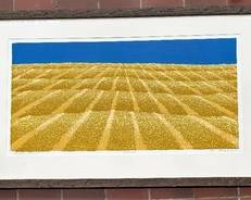 "Harvest" Limited Edition Framed Print by Charles Beck that measures 25.5 x 41 inches and is number 41/100. 