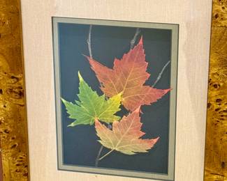 Beautiful Artisan Created Framed Leaf Artwork in a wonderful layered/ 3-D affect. 

Each red maple leaf is individually hand-processed to show the natural detailed display of the veins.

Measures 12" x 10"  