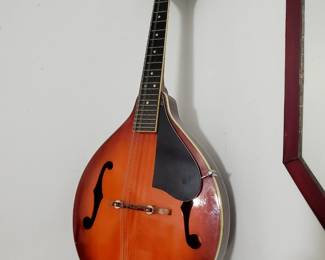 Mandolin 