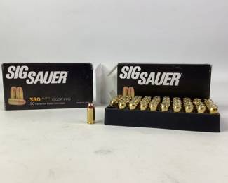Sig Sauer .380 Auto FMJ Pistol Ammo
