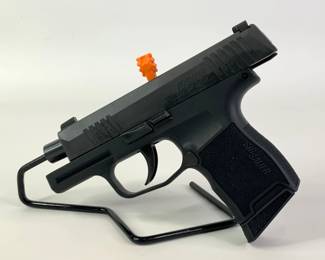 New Sig Sauer P365 9MM Pistol
