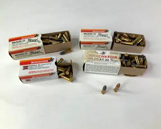 Assorted .22 Long Rifle Ammo

