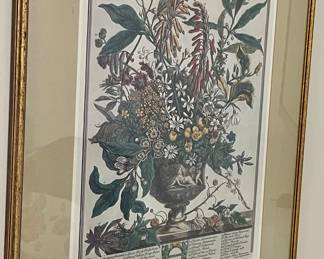 Large Matted Floral Print - January 