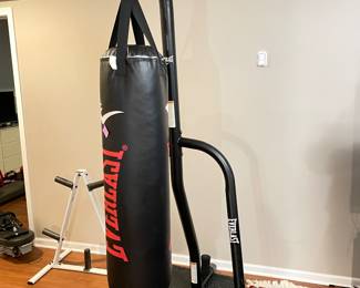 Everlast Bag & Stand,  $175