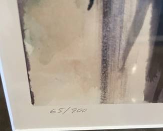 65/900 Limited Edition