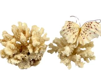 2pc. Coral Formations with Butterfly Shell Art
