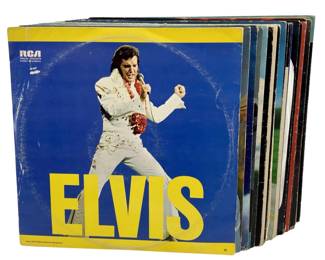 21pc. Elvis Vinyl Record Collection
