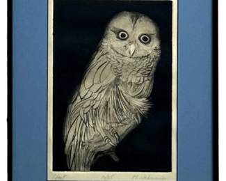 Vintage Signed “Hoot" Owl Etching
