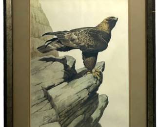 Signed Guy Coheleach “Golden Eagle" Print

