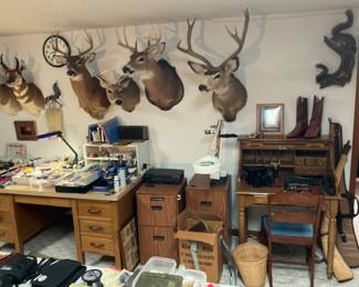 VIEW OF THE MOUNT ROOM