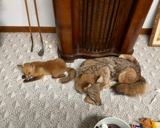 GENE DID ALL OF THE TAXIDERMY.  UNIQUE 