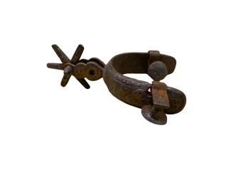 Large Antique Spur Collection
