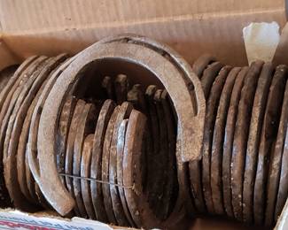 Box of Vintage Horseshoes
