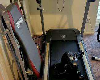 Gold's Gym Treadmill 