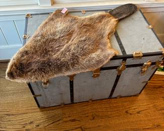 Madison Ga beaver!!  😜   Trunk is refinished inside.  