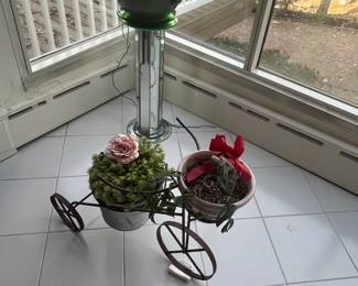 Nice Plants and Displays 