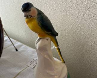 Schaffer and Vater parrot