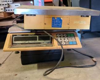 HealthOMeter Fitness Scale, 350-Lb Capacity, Toledo Digital Price Computing Deli Scale, Model 8421, 30-Lb Capacity, And Tec Digital Scale, Model SL47N