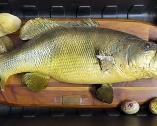 Vintage Taxidermy Large Mouth Bass Fish Mount, 24" Long, Fish Has Tail And Fin Damage, Steer Horns, Qty 4, And Hand Painted Eggs, Qty 2