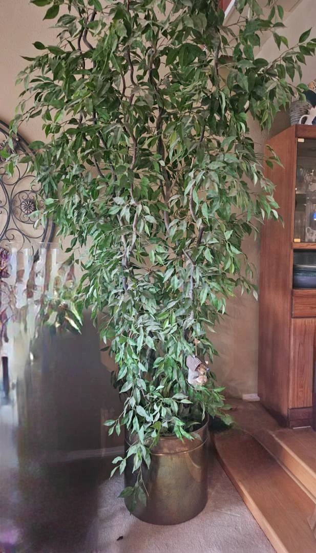 Port Orchard Estate Online Auction starts on 11/25/2023