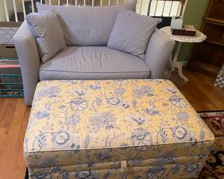 I'm a twin-size sofa bed!