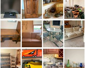 Snowbird Stunners Collage