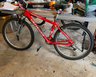 Rockhopper Specialized mountain bike