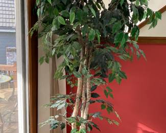 Faux Ficus Tree