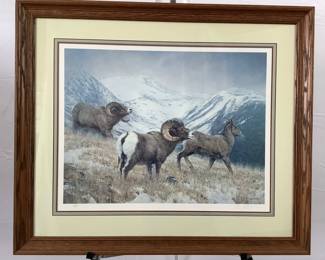 "Bighorn Sheep - Electric Peak" Lithograph by Nancy Glazier