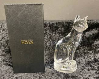 Hoya Crystal Cat
