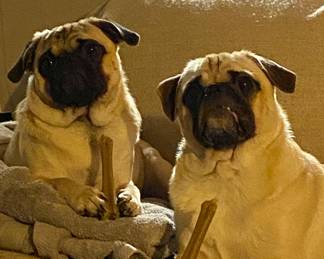 We are hard at work putting together a good sale. 